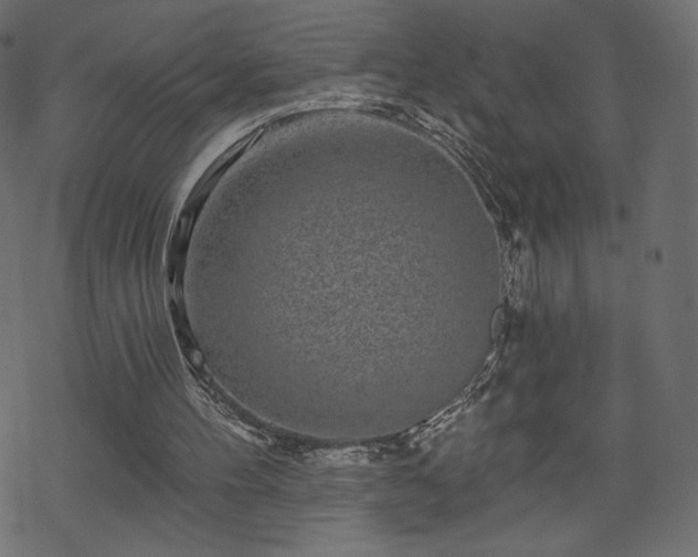 X0000070220100200605301440