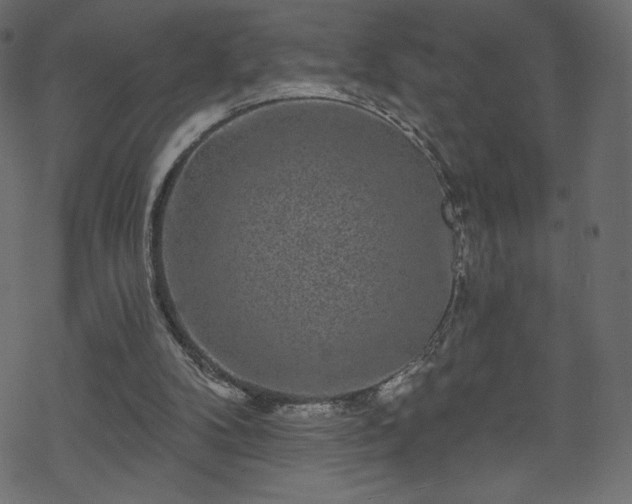 X0000070220104200605301440