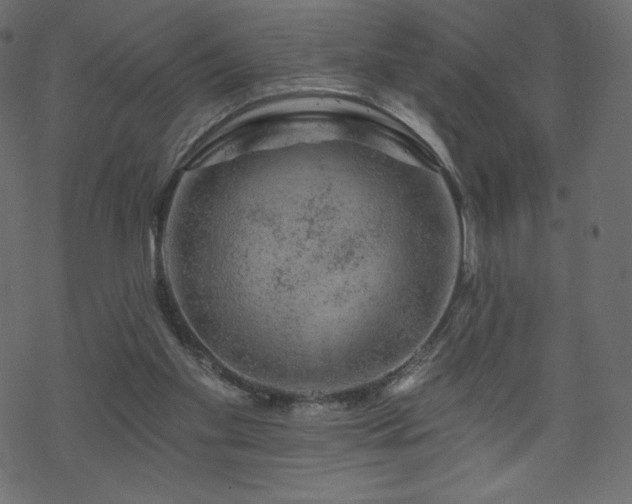 X0000070220109200605301440