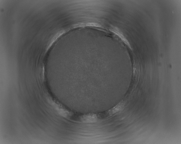X0000070220110200605301440