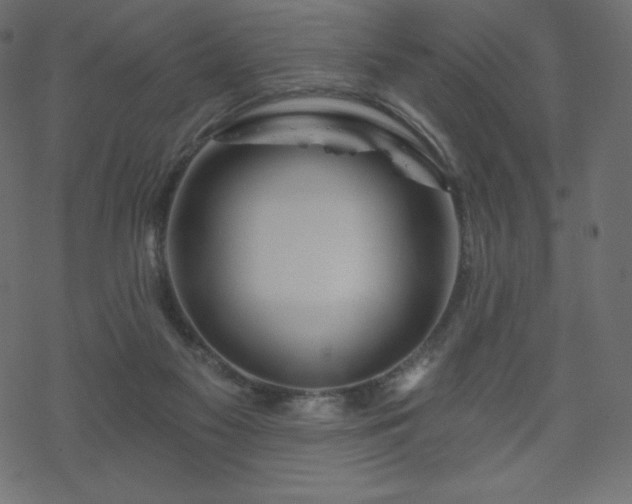 X0000070220117200605301440