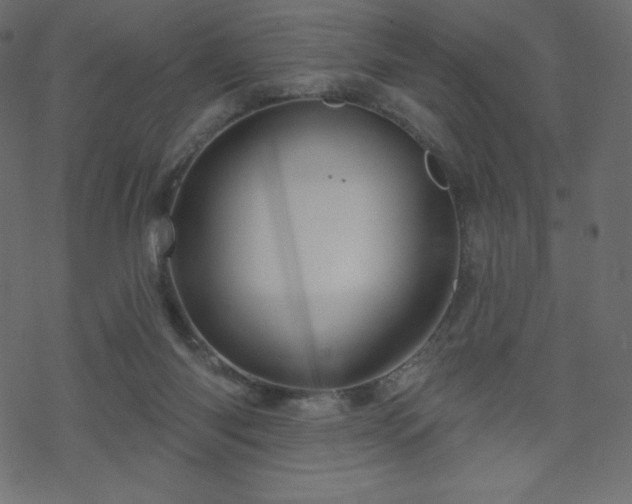X0000070220118200605301440