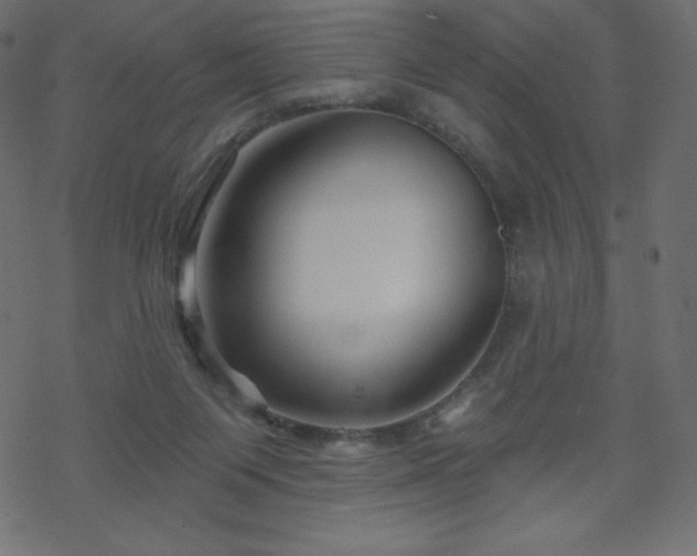 X0000070220119200605301440