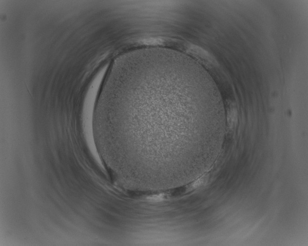 X0000070220120200605301440