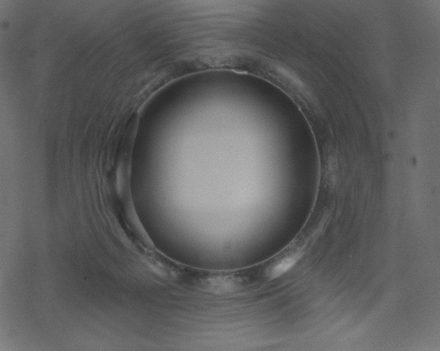 X0000070220121200605301440