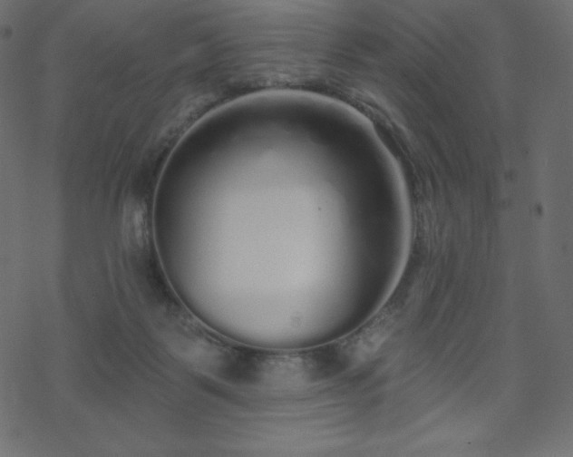 X0000070220123200605301440