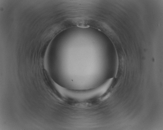 X0000070220125200605301440