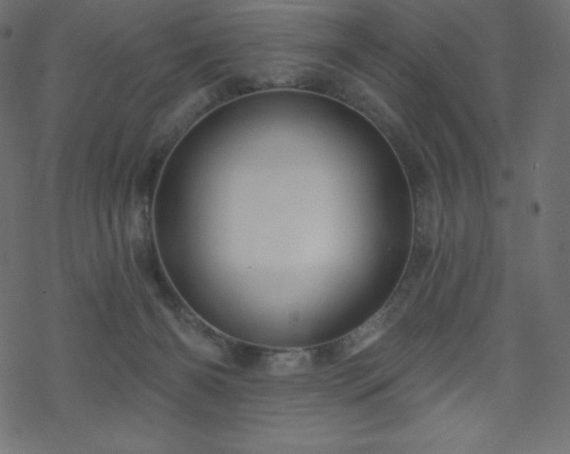 X0000070220126200605301440
