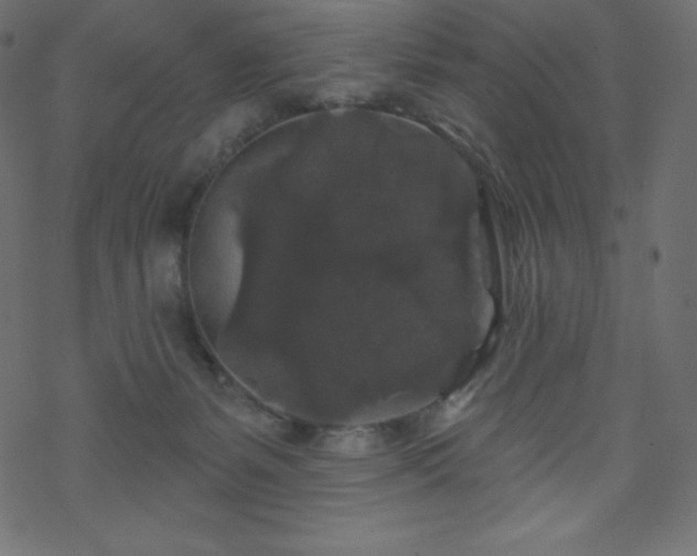 X0000070220127200605301440