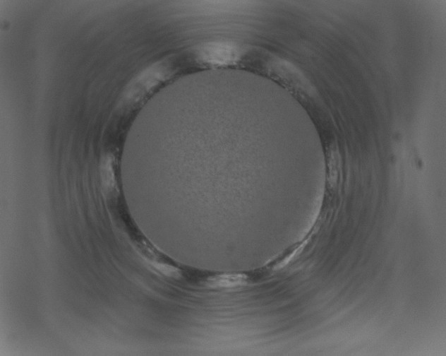 X0000070220128200605301440