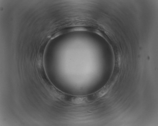 X0000070220129200605301440