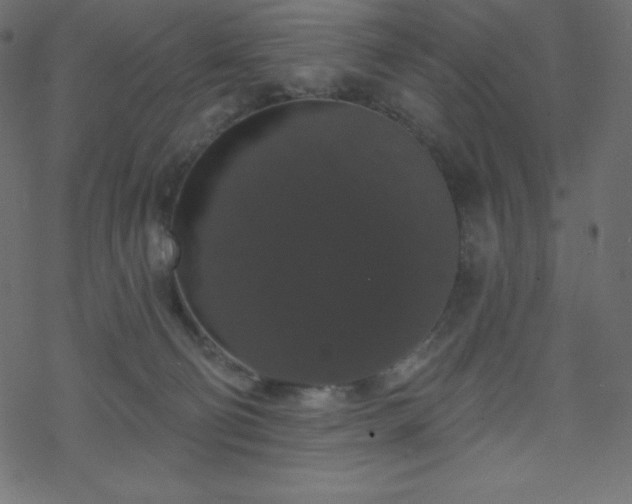 X0000070220130200605301440