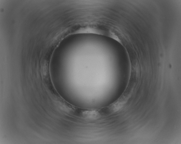 X0000070220133200605301440