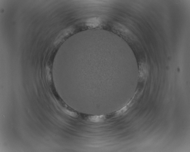 X0000070220136200605301440