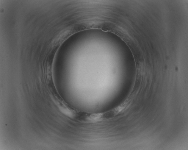X0000070220138200605301440