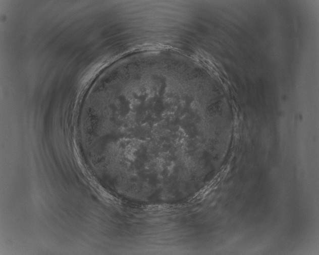 X0000070220145200605301439