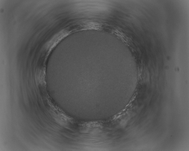 X0000070220146200605301439
