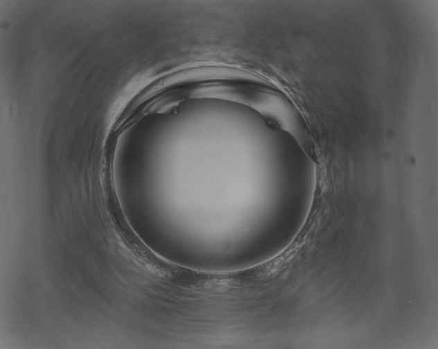 X0000070220152200605301439