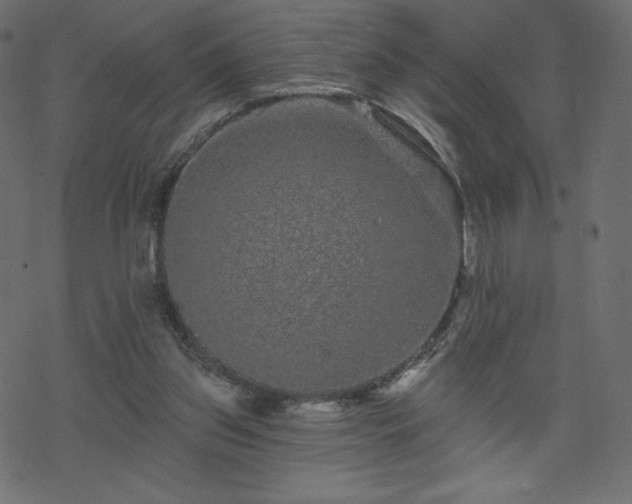 X0000070220157200605301439