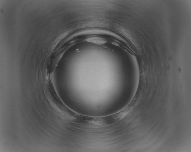 X0000070220164200605301439