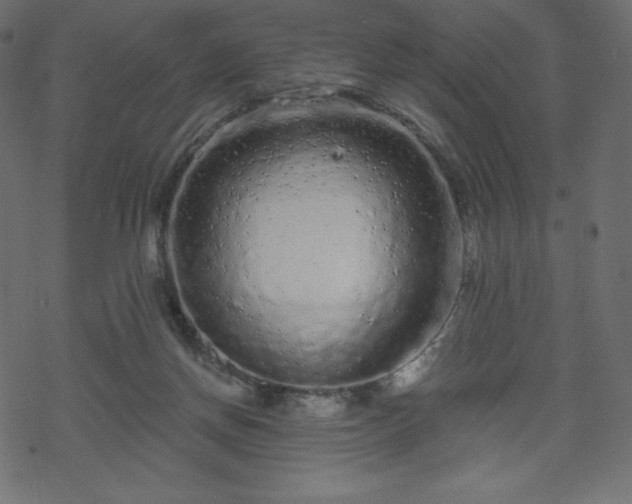 X0000070220166200605301439
