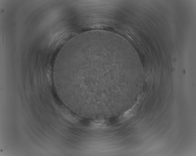 X0000070220175200605301439