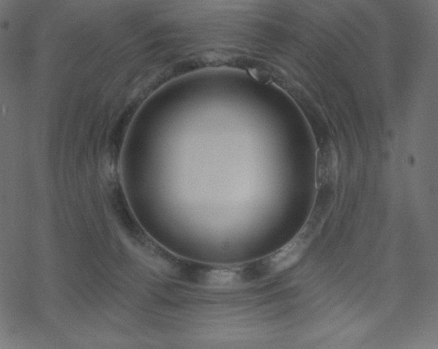 X0000070220176200605301439