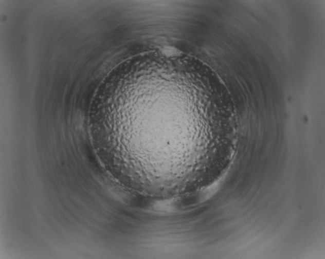 X0000070220178200605301440