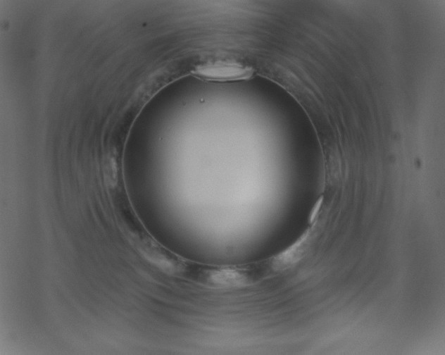 X0000070220183200605301440