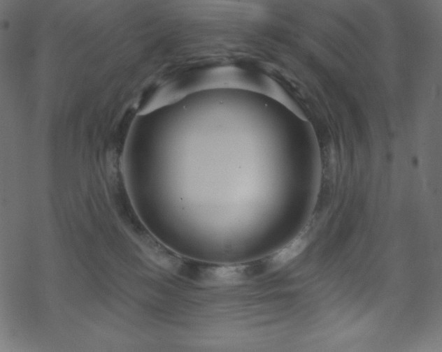 X0000070220184200605301440