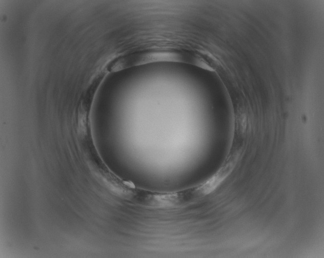 X0000070220188200605301440