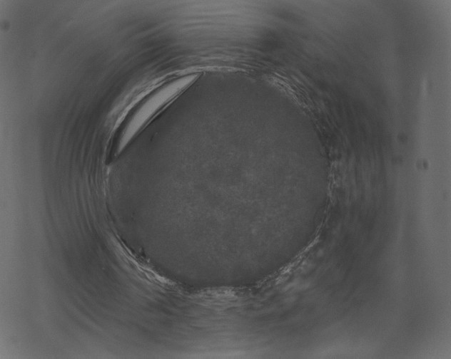 X0000070220194200605301439
