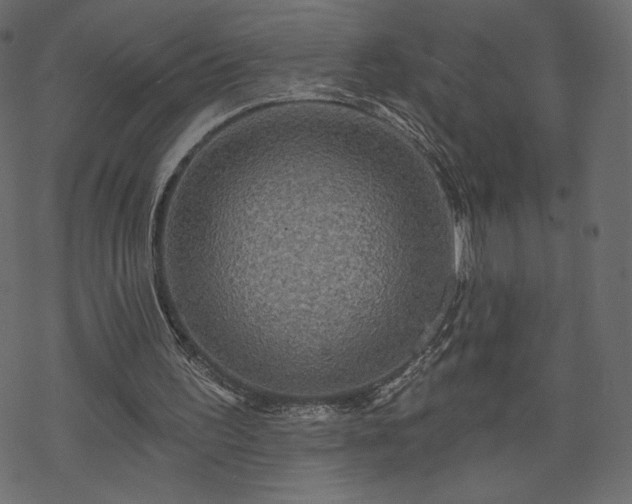 X0000070220195200605301439