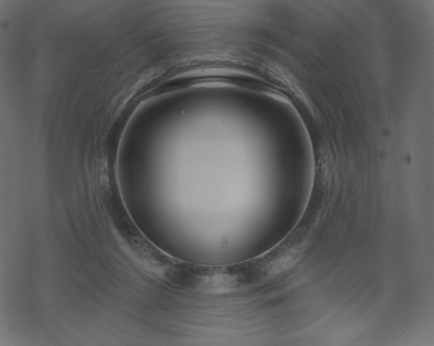 X0000070220212200605301439