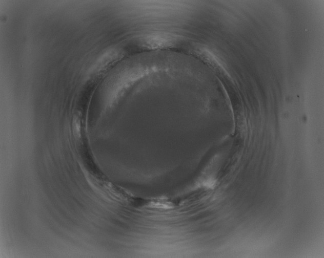 X0000070220214200605301439