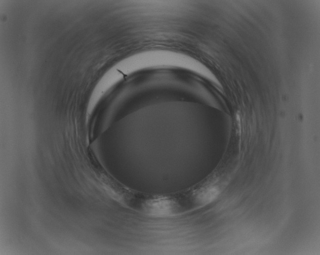 X0000070220219200605301439