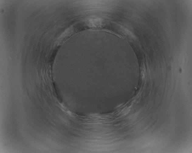 X0000070220233200605301438