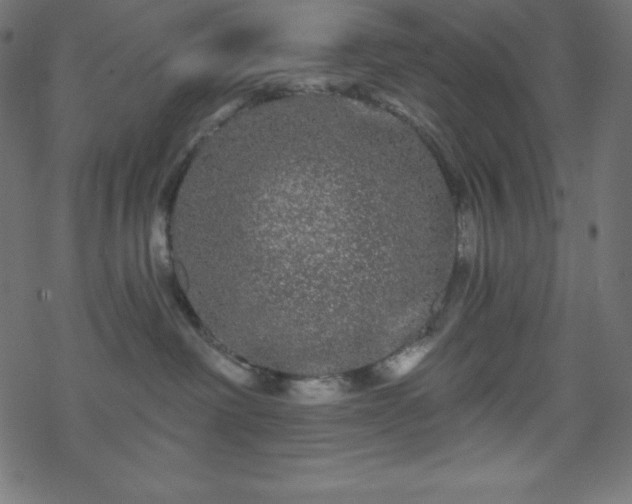 X0000070220238200605301438