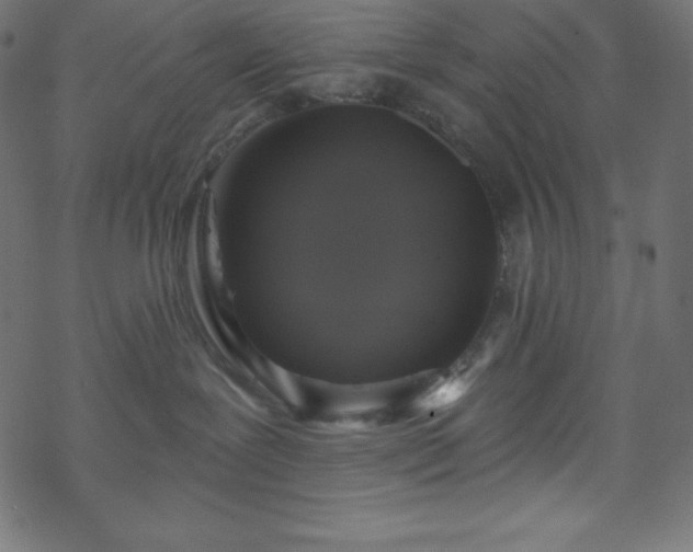 X0000070220239200605301438