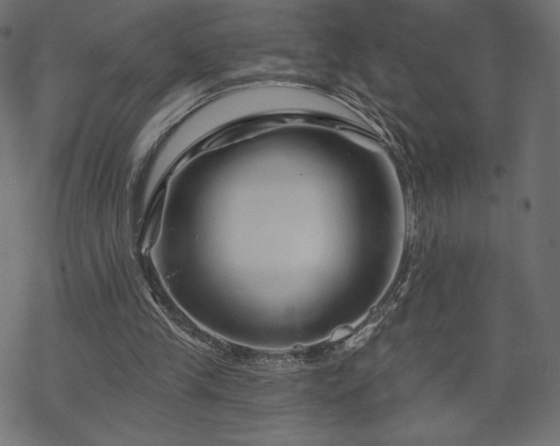 X0000070220245200605301438
