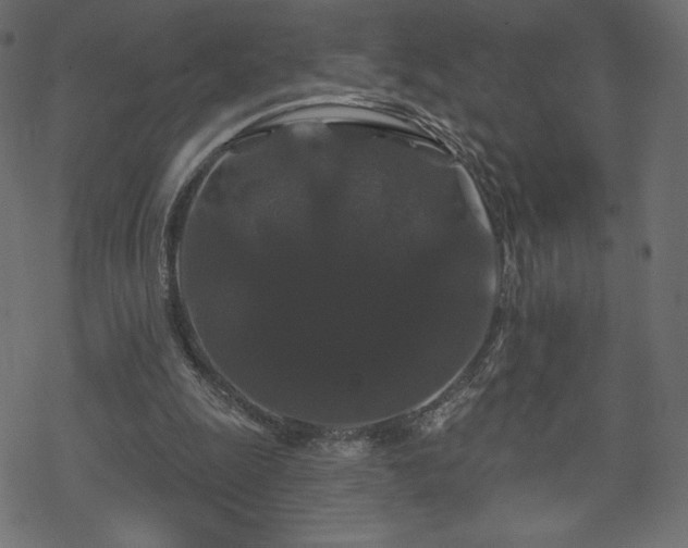 X0000070220247200605301438