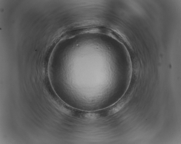 X0000070220261200605301438