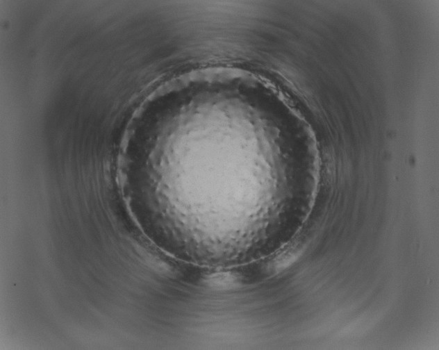 X0000070220269200605301438