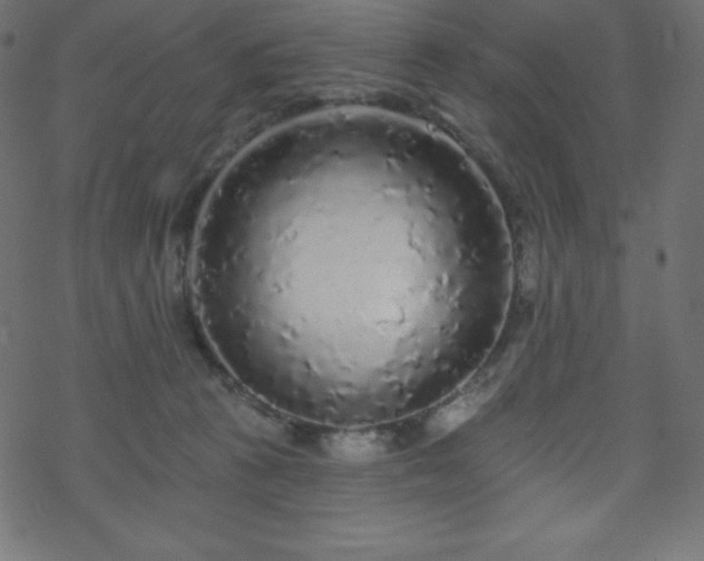 X0000070220273200605301438