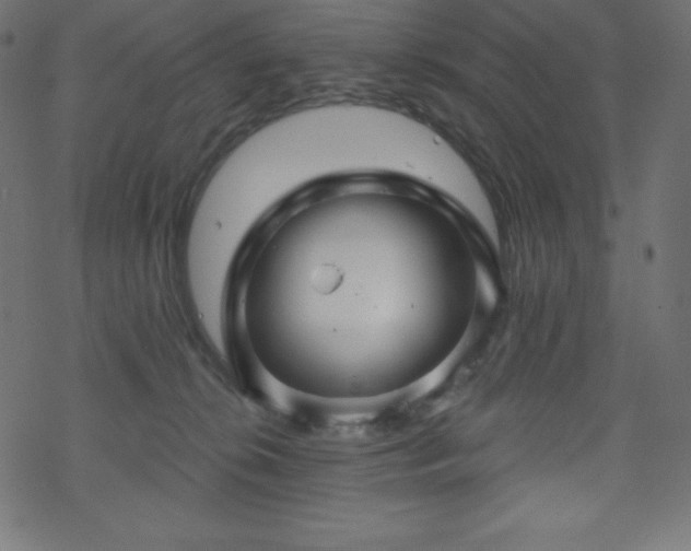 X0000070220276200605301438