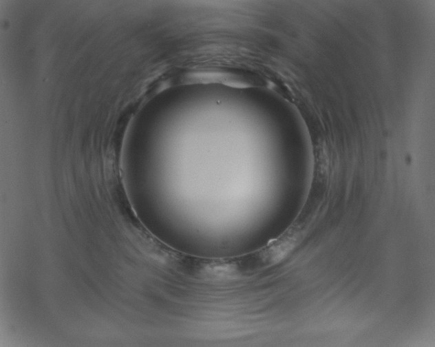X0000070220283200605301438