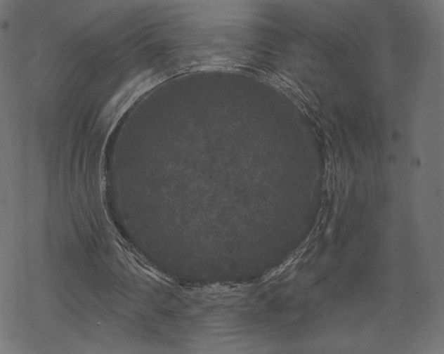 X0000070220290200605301437