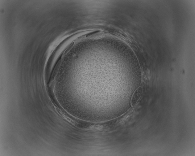 X0000070220294200605301437