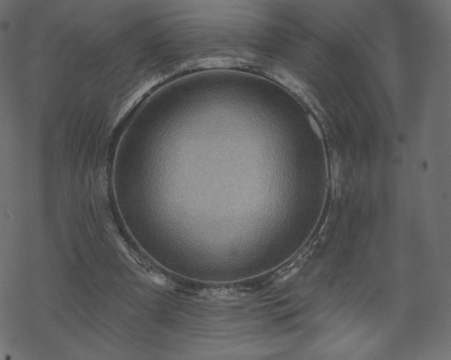 X0000070220297200605301437