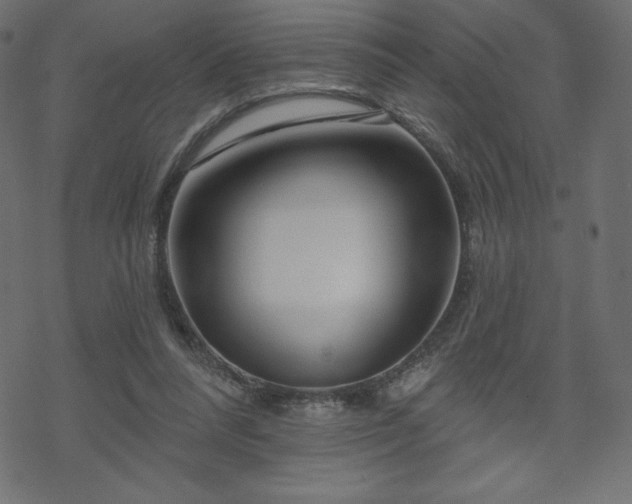 X0000070220304200605301437